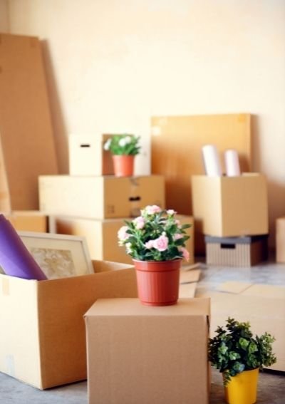 Removalists Southbank